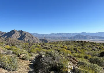 Desert valley view